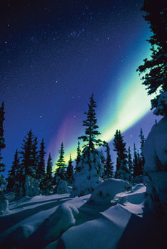 Poster Nothern lights - snow