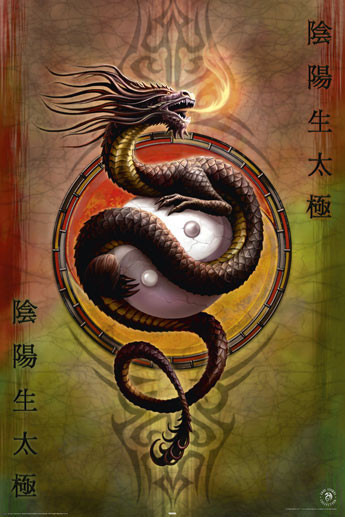 Плакат Anne Stokes - yin yang protect