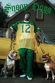 Poster Snoop Dogg - green | Wall Art | 3+1 FREE | Europosters