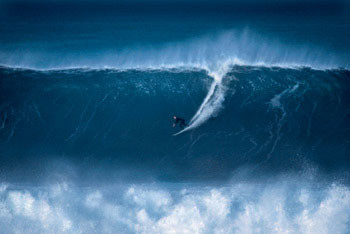 Poster The cribbar - newquay