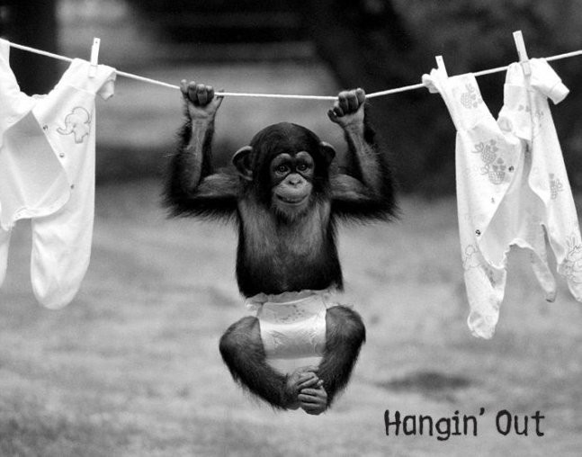 Плакат Hangin out