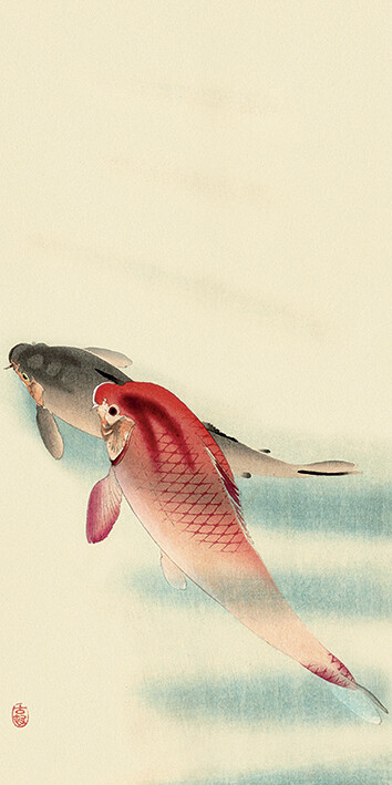 Canvas Print Ohara Koson - Two Carp