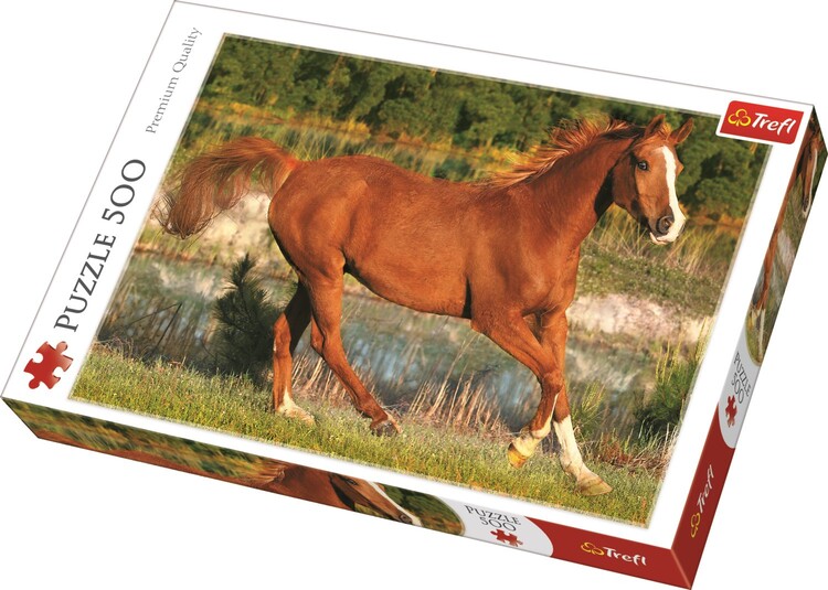 Παζλ The Beauty of Gallop