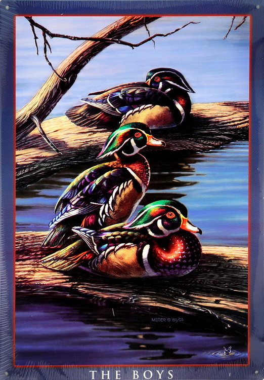 Metallikyltti THE BOYS - ducks