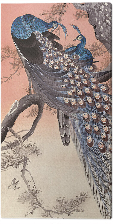 Картината върху платно Ohara Koson - Two Peacocks on Tree Branch