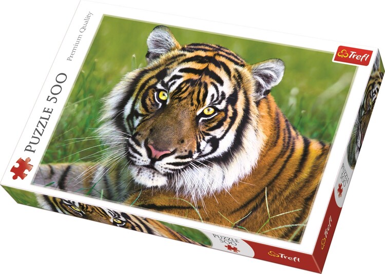 Παζλ Tiger