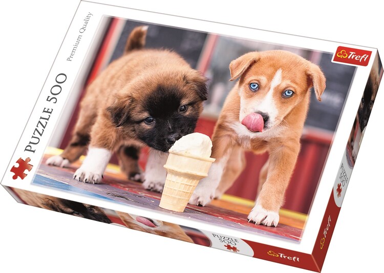 Puzzle Ice-cream Time!