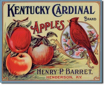Metallikyltti KY CARDINAL APPLES