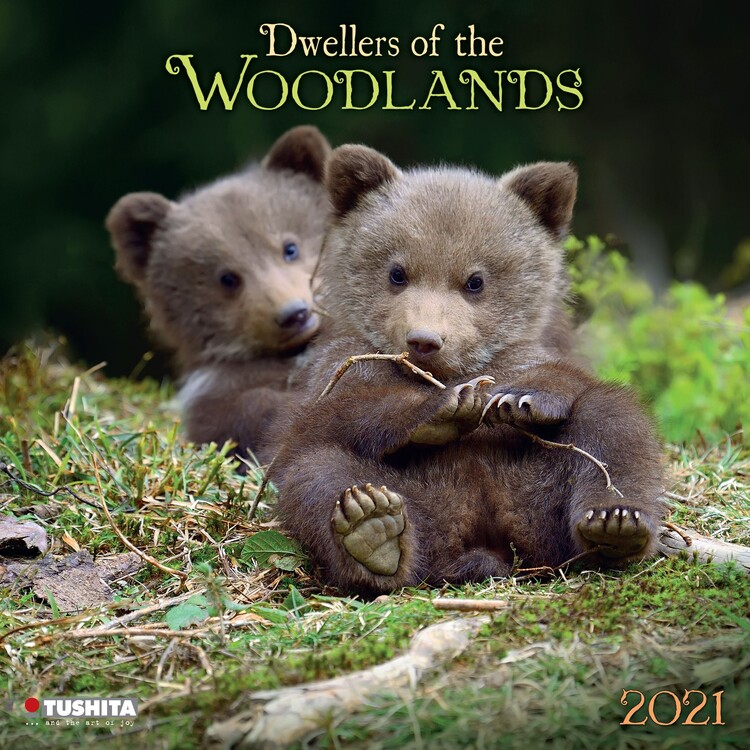 Календар 2027 Woodlands