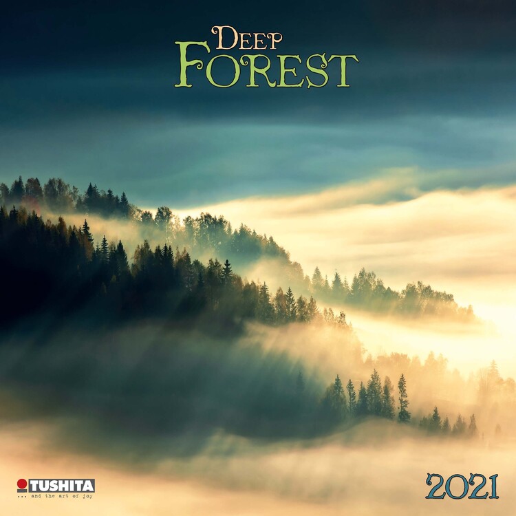 Calendar 2021 Deep Forest