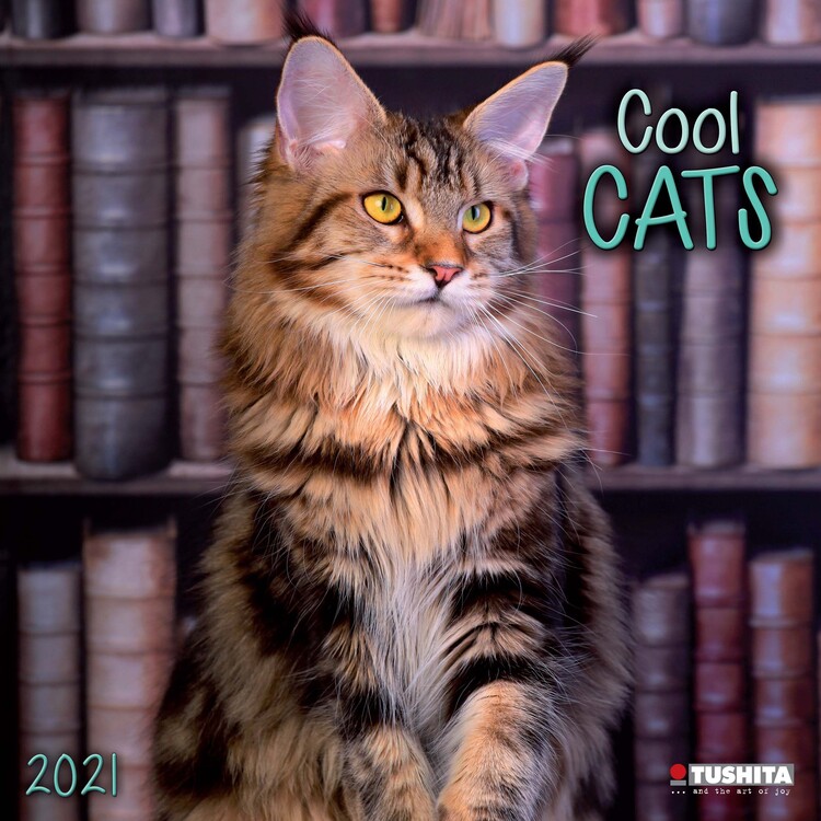 Koledar 2027 Cool Cats
