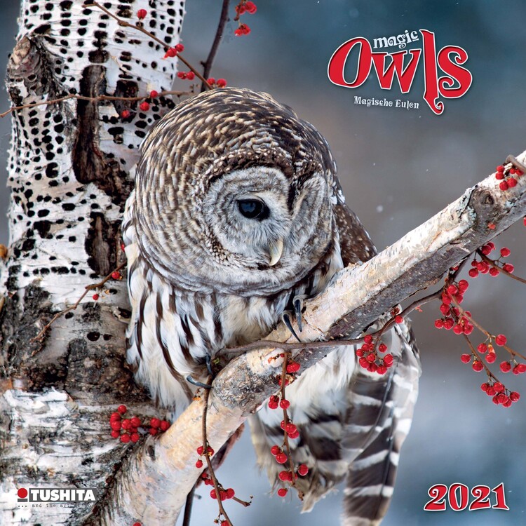 Ημερολόγιο 2027 Magic Owls