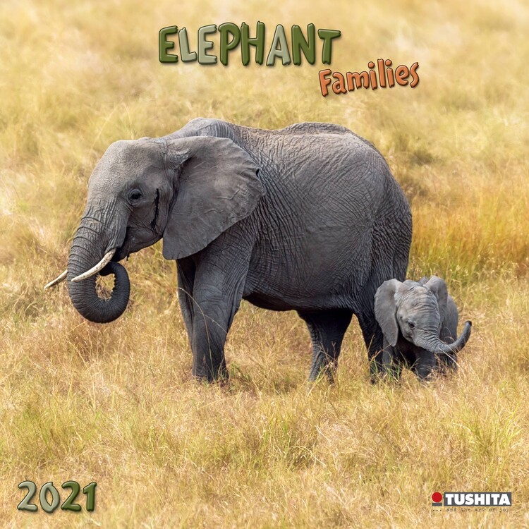 Ημερολόγιο 2027 Elephant Families