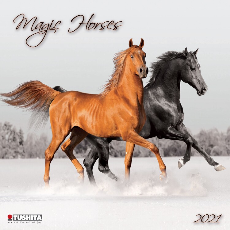 Ημερολόγιο 2027 Magic Horses