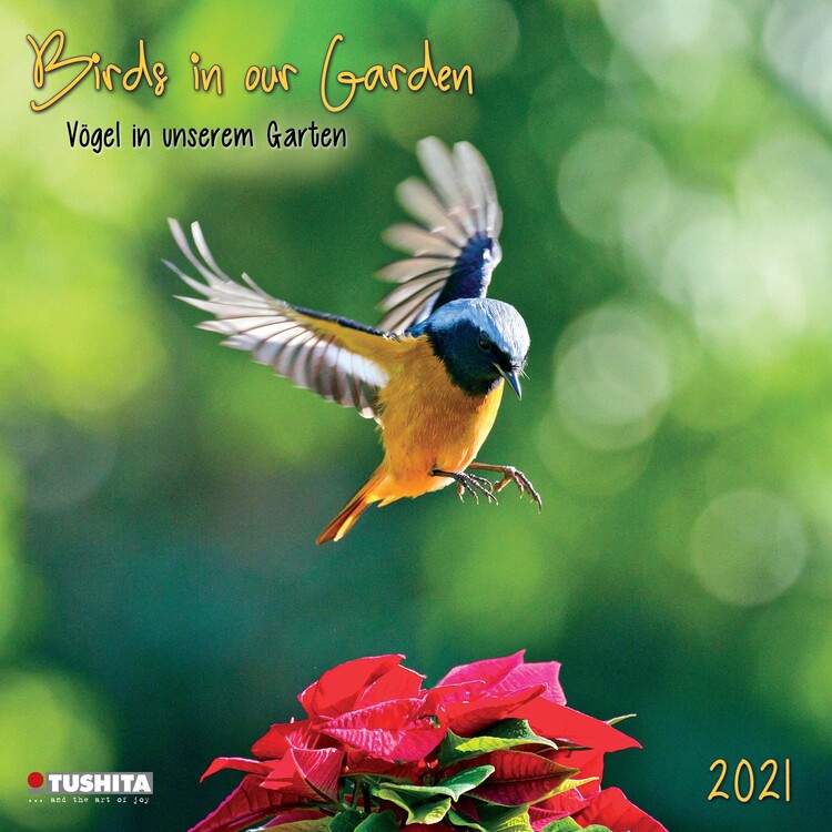 Ημερολόγιο 2027 Birds in our Garden
