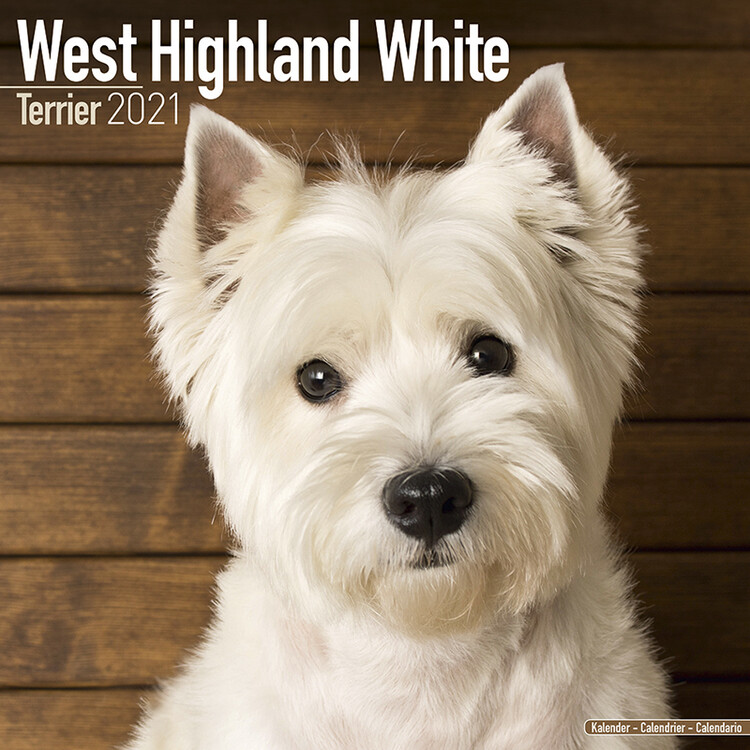 Ημερολόγιο 2027 West Highland Terrier