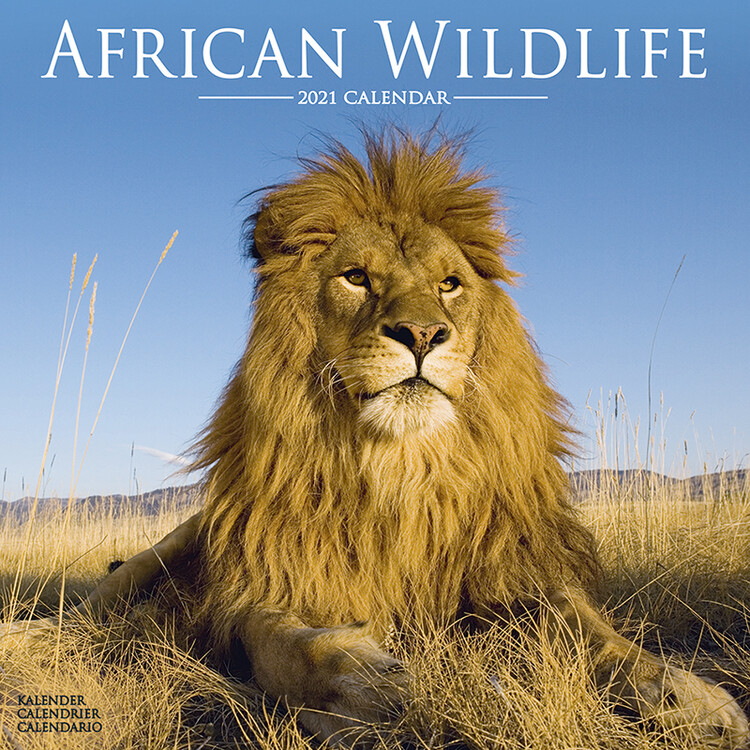 Ημερολόγιο 2027 African Wildlife