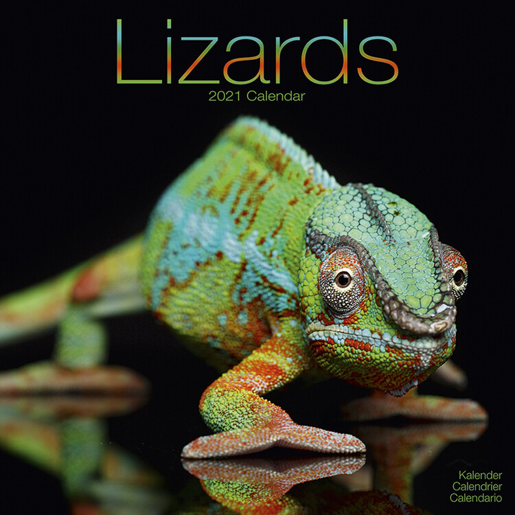 Calendar 2027 Lizards