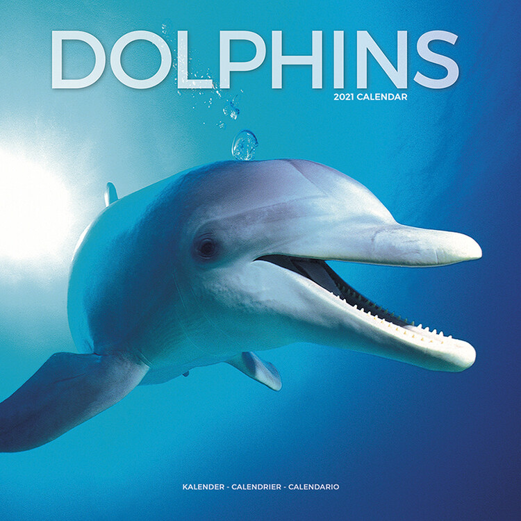 Kalendar 2027 Dolphins