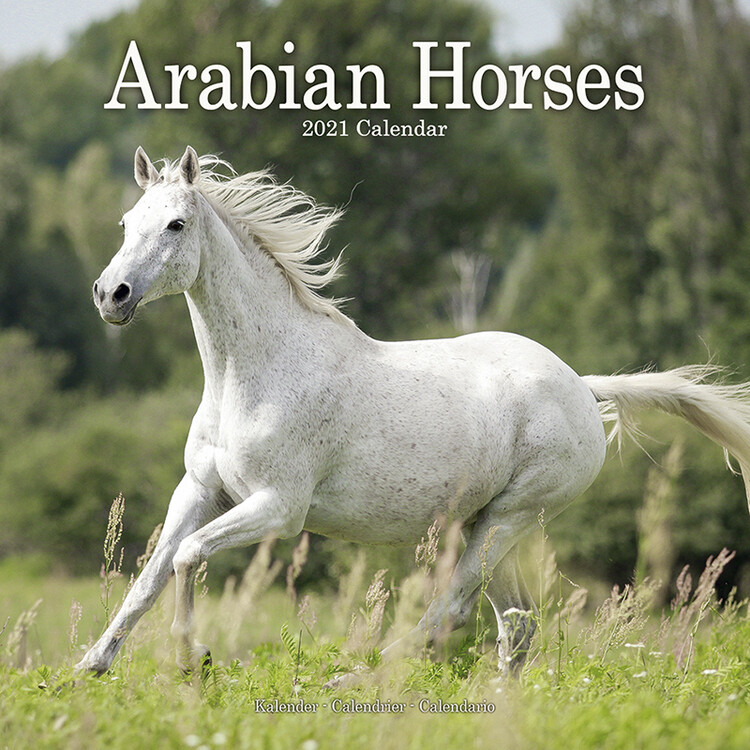 Ημερολόγιο 2027 Arabian Horses