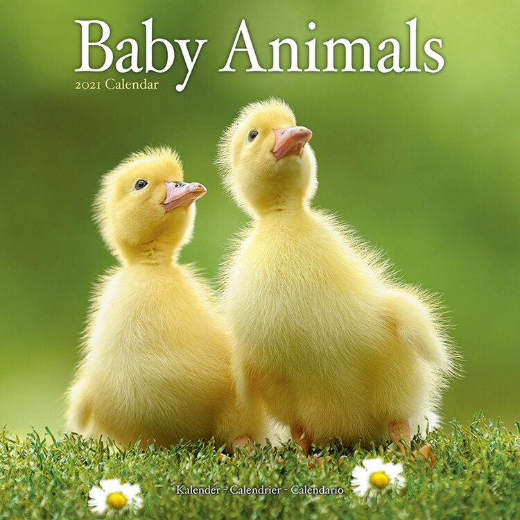 Calendar 2021 Baby Animals