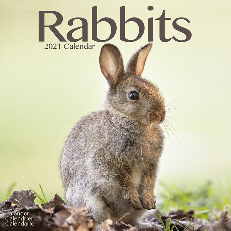 Calendar 2021 Rabbits