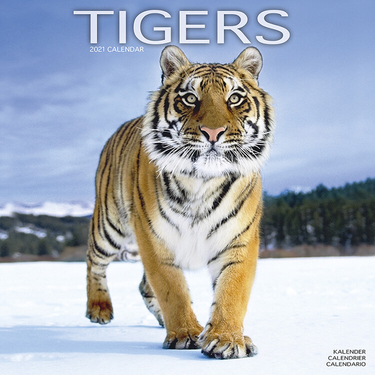 Календар 2027 Tigers