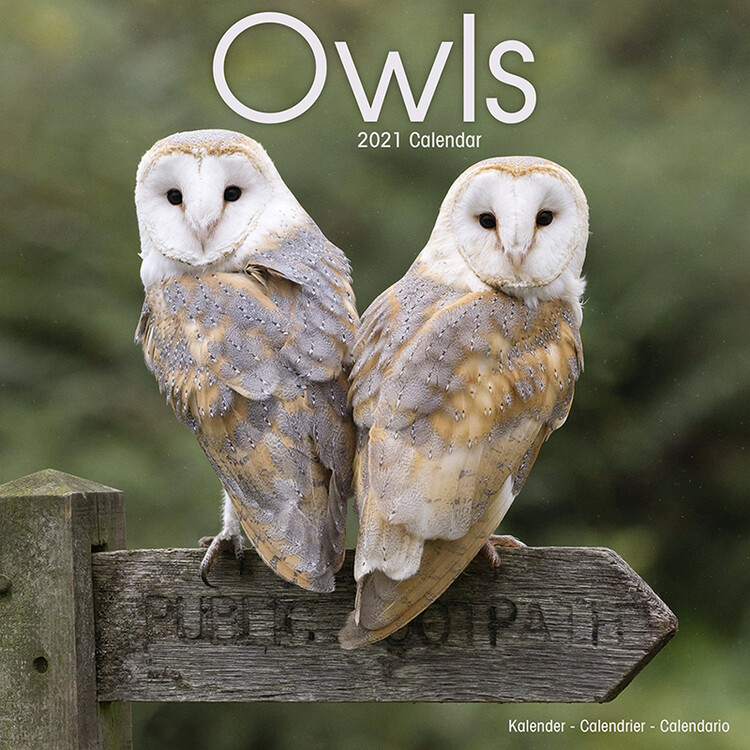 Calendar 2027 Owls