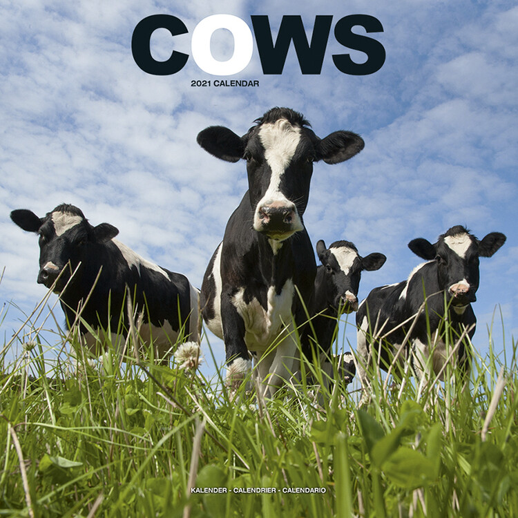 Kalenteri 2027 Cows