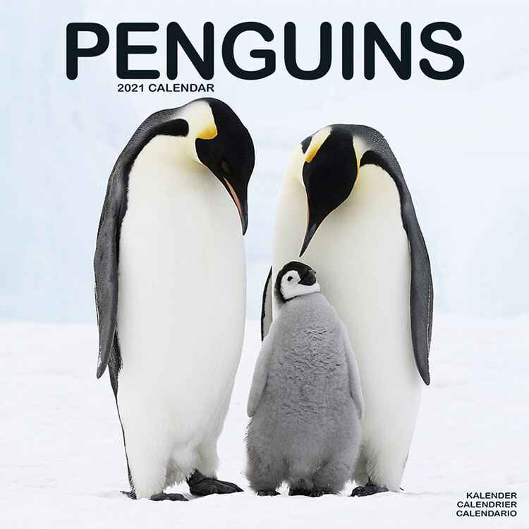 Ημερολόγιο 2027 Penguins