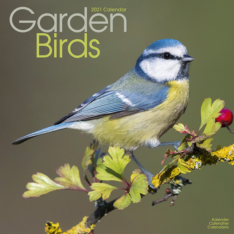 Kalenteri 2027 Garden Birds