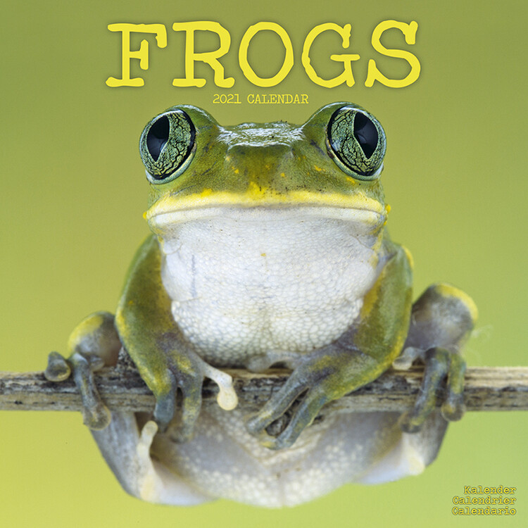 Kalenteri 2027 Frogs