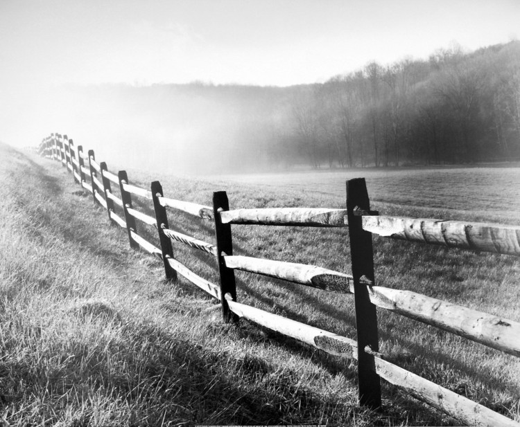 Taidejuliste Vanishing Fence