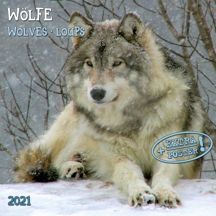 Calendar 2027 Wolves