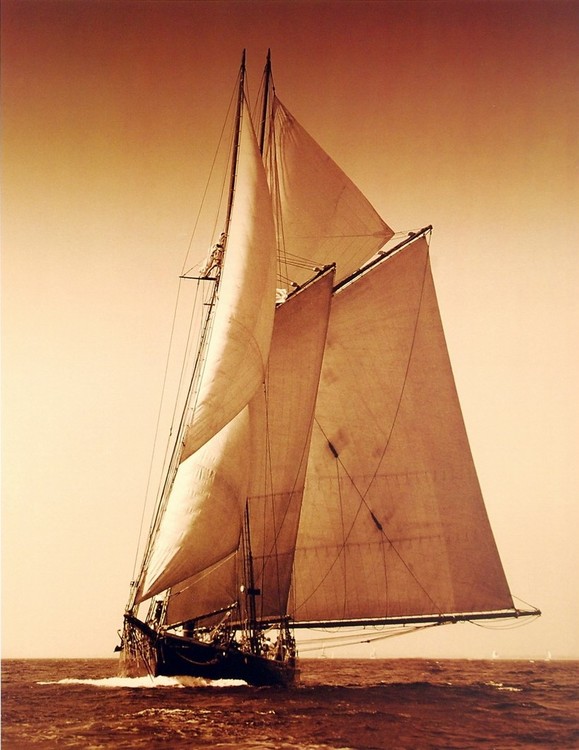 Impressão artística Under Sail I