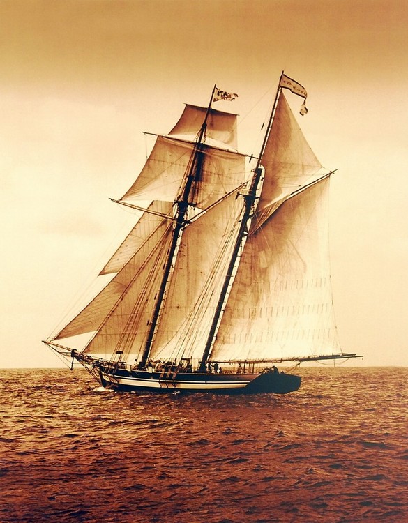 Impressão artística Under Sail II