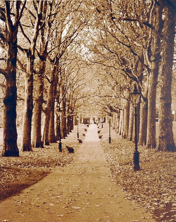 Художествен печат Autumn Stroll II