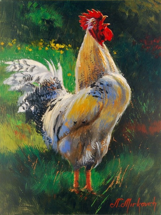 Art Print White and Yellow Rooster