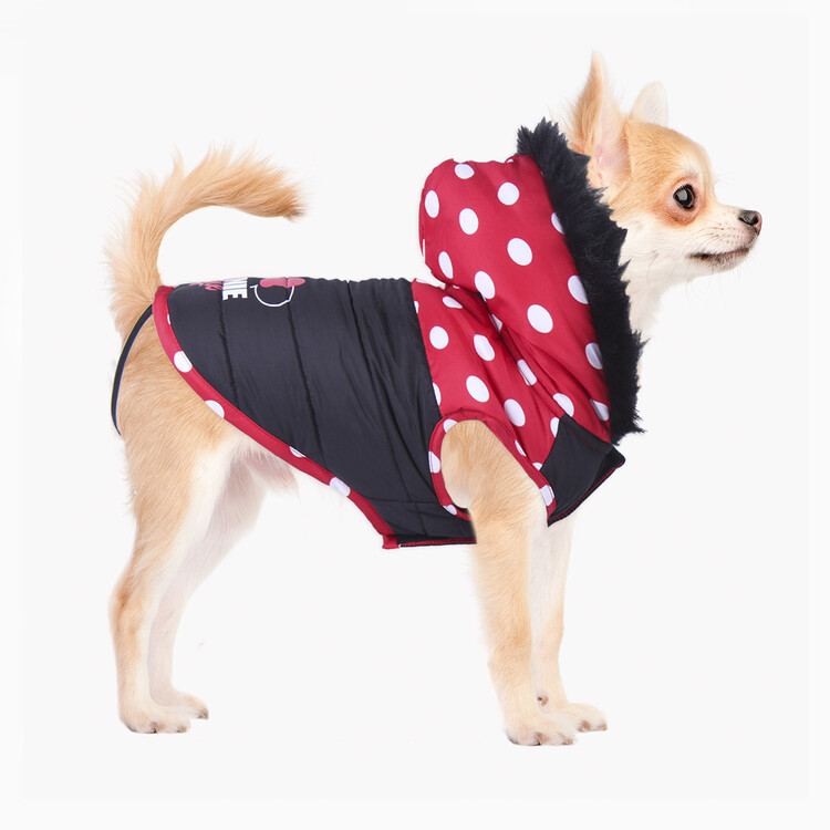Roupa para cão Minnie Mouse