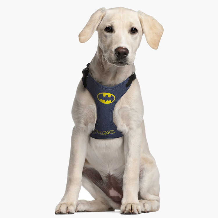 Dog harness  Batman