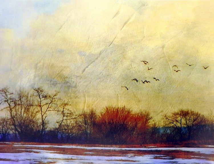 Threnody Картина