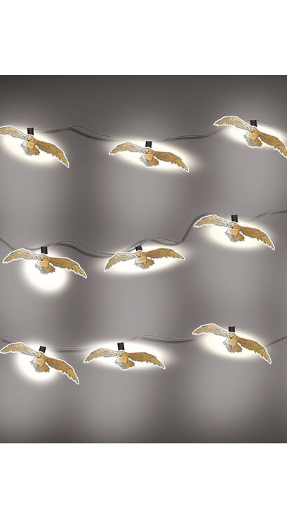 Luzes decorativas Harry Potter - Owl
