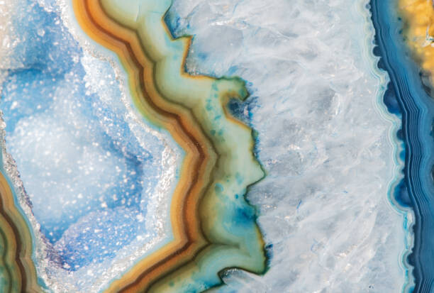 Μπλουζάκι Agate macro