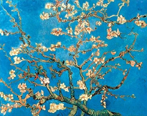 van gogh blossom tree