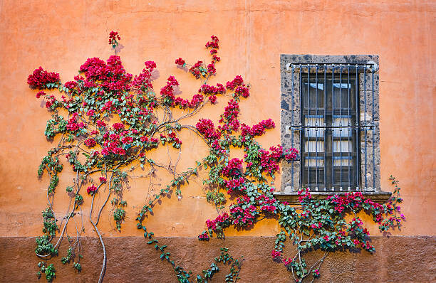 Arte Fotográfica Architectural Details, San Miguel de Allende,