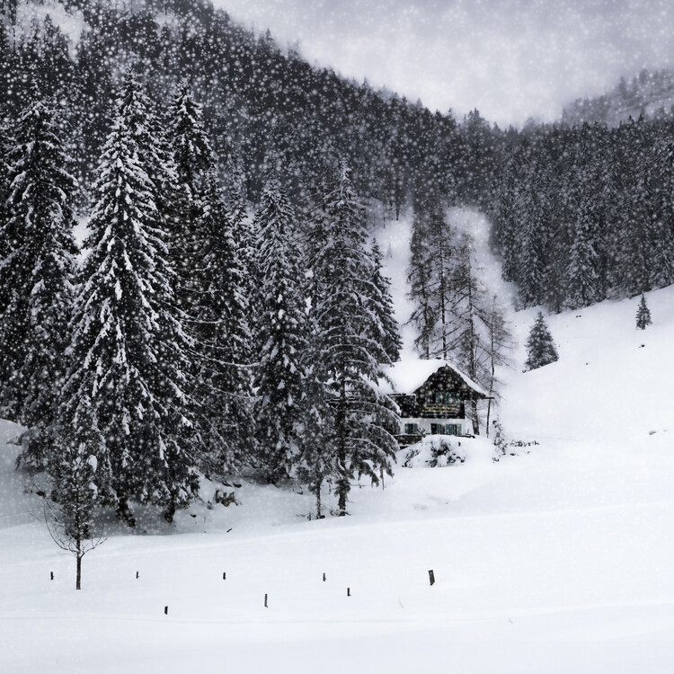 Valokuvataide Bavarian Winters Tale IX