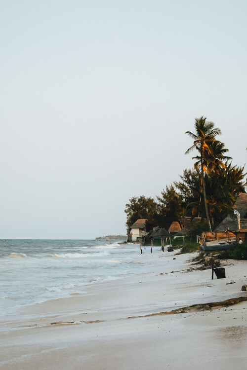 Art Photography Beach vibes