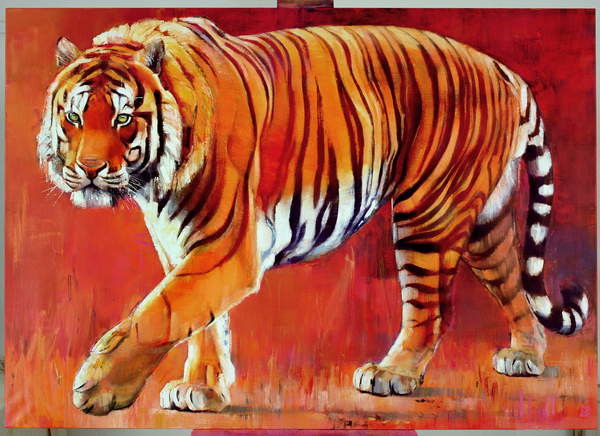 Fine Art Print Bengal Tiger