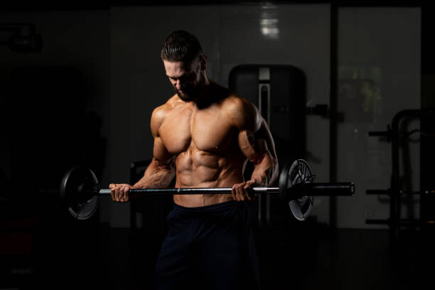 Art Photography Biceps Exercise With Barbell