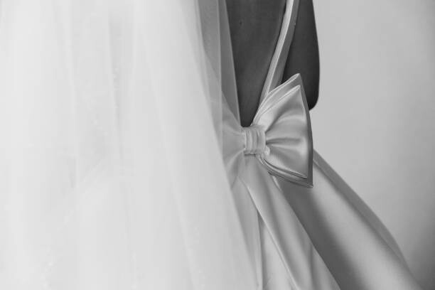 Art Photography Bride s dress for her